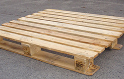 CP1 Pallet 100cm X 120cm